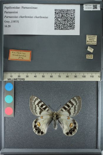 Media type: image;   Entomology 180438